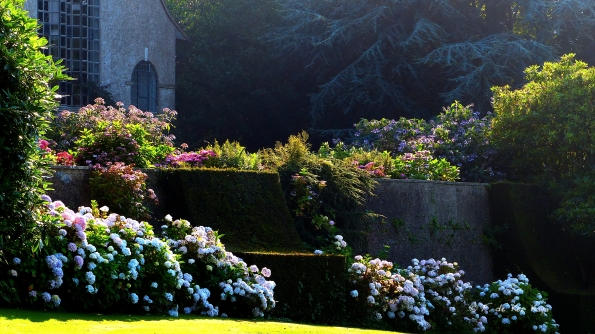 Massifs colorés au soleil